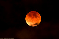 Moon - Super Eclipse - IMG105_7522