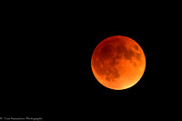 Moon - Super Eclipse - IMG105_7510