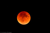 Moon - Super Eclipse - IMG105_7520
