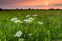 Prairie Sunset - IMG105__3161