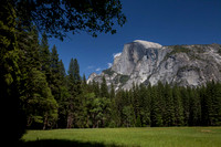 Half Dome from the Ahwahnee Meadows