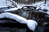 Winter - December Creek - IMG127_0195