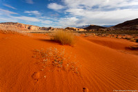 Gold Butte - Sand Dunes - IMG128_3056