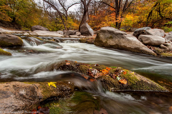 Fall - Beaver Creek - IMG102_7007