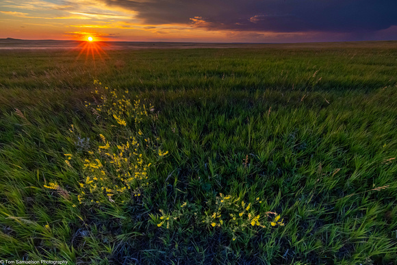 Badlands - A Prairie Sunset - IMG134_2774
