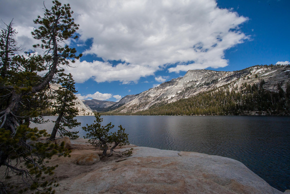 Tenaya Lake