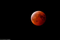 Astro Photography