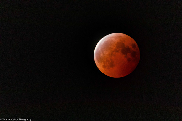 Moon - Lunar Eclipse - IMG135_6245