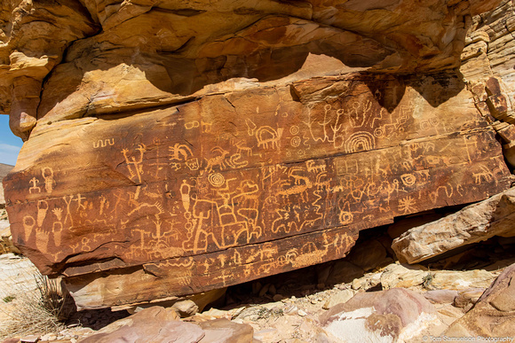 Gold Butte - Petroglyphs - Newspaper Rock- IMG128_3926